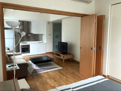 Park Infinia At Wee Nam (D11), Condominium #597627661